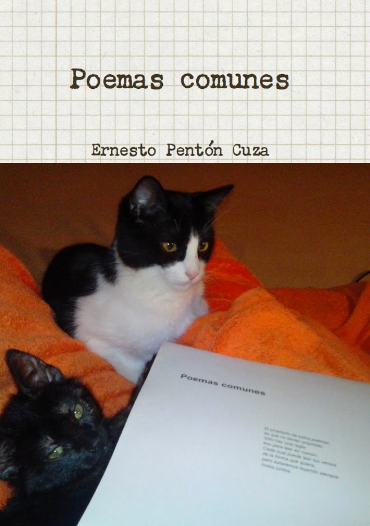 Portada poemas comunes