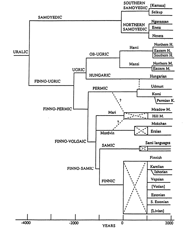 evolución de las lenguas urálicas