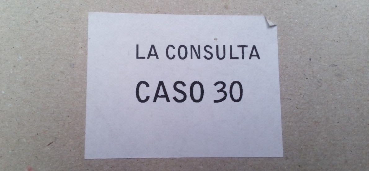 La Consulta Caso 30